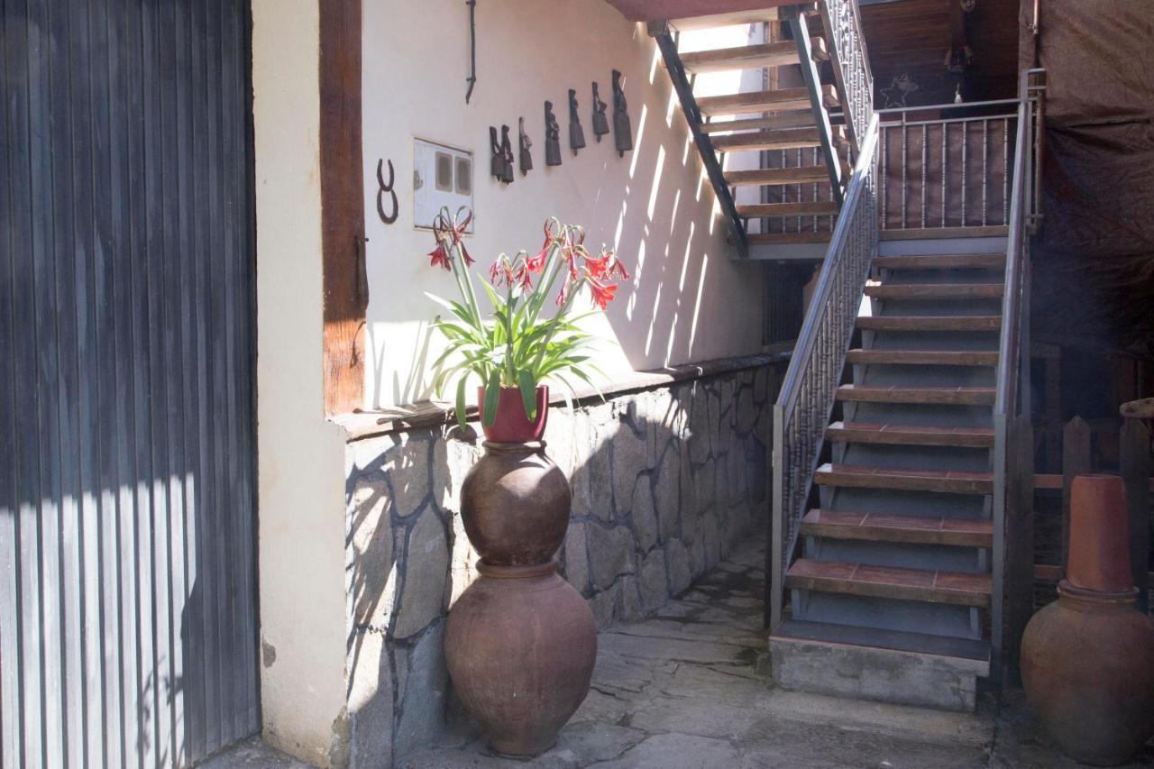 La Charca De La Dehesa Villa Casas del Monte Exterior photo